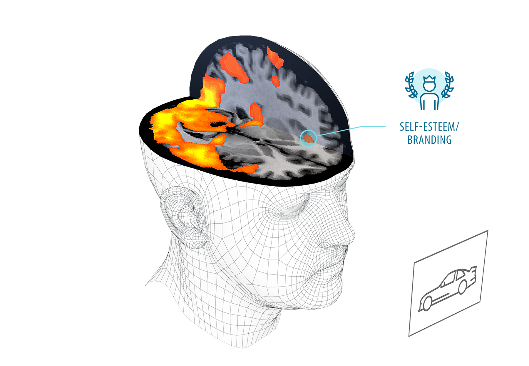 experimental brain research impact factor